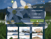 Tablet Screenshot of narcisdivcibare.com